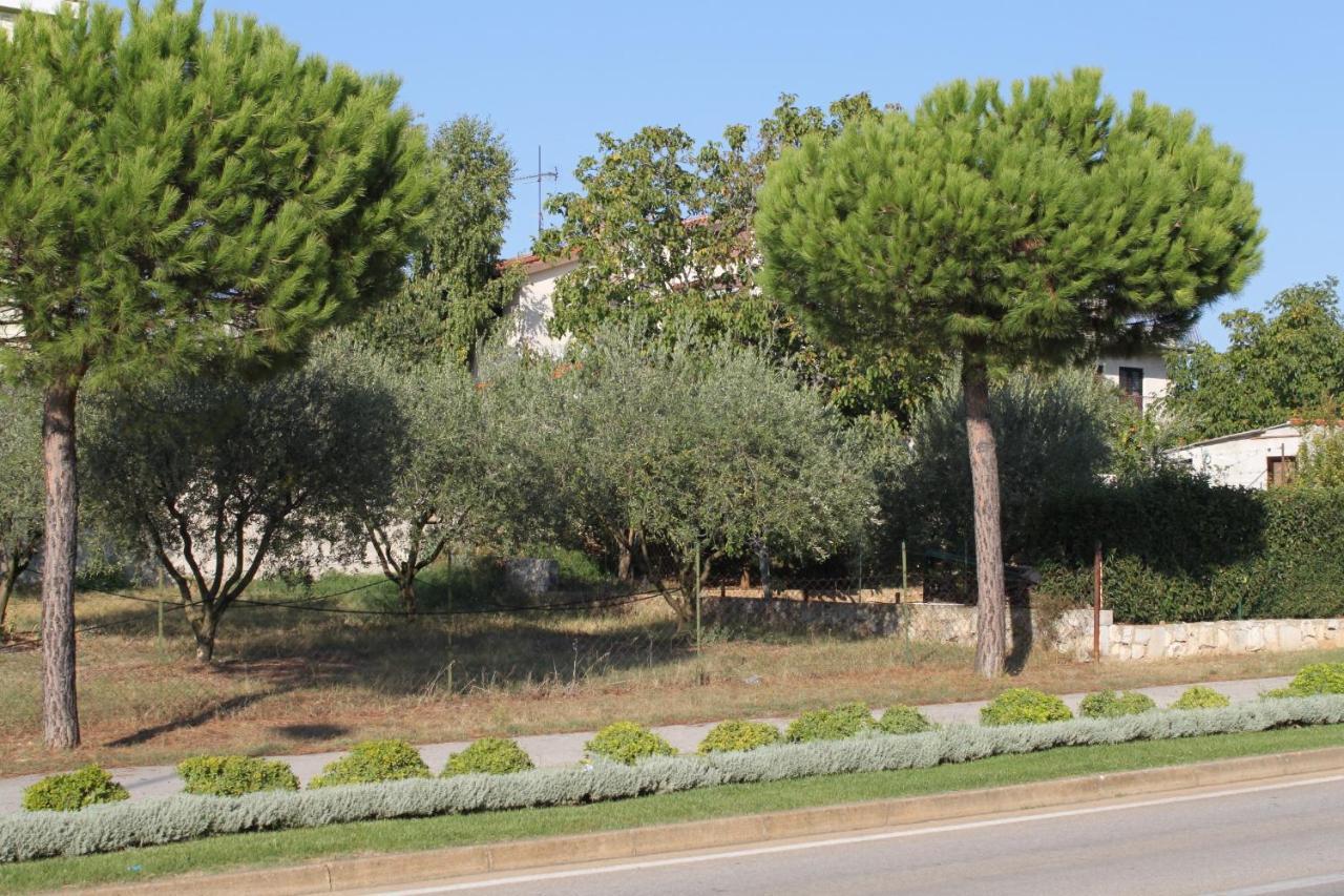 Apartments And Rooms With Parking Space Rovinj - 7170 Екстер'єр фото